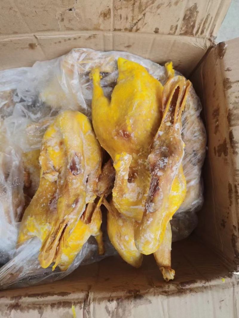 盐焗鸭，八成熟，一件50斤，免费送配方