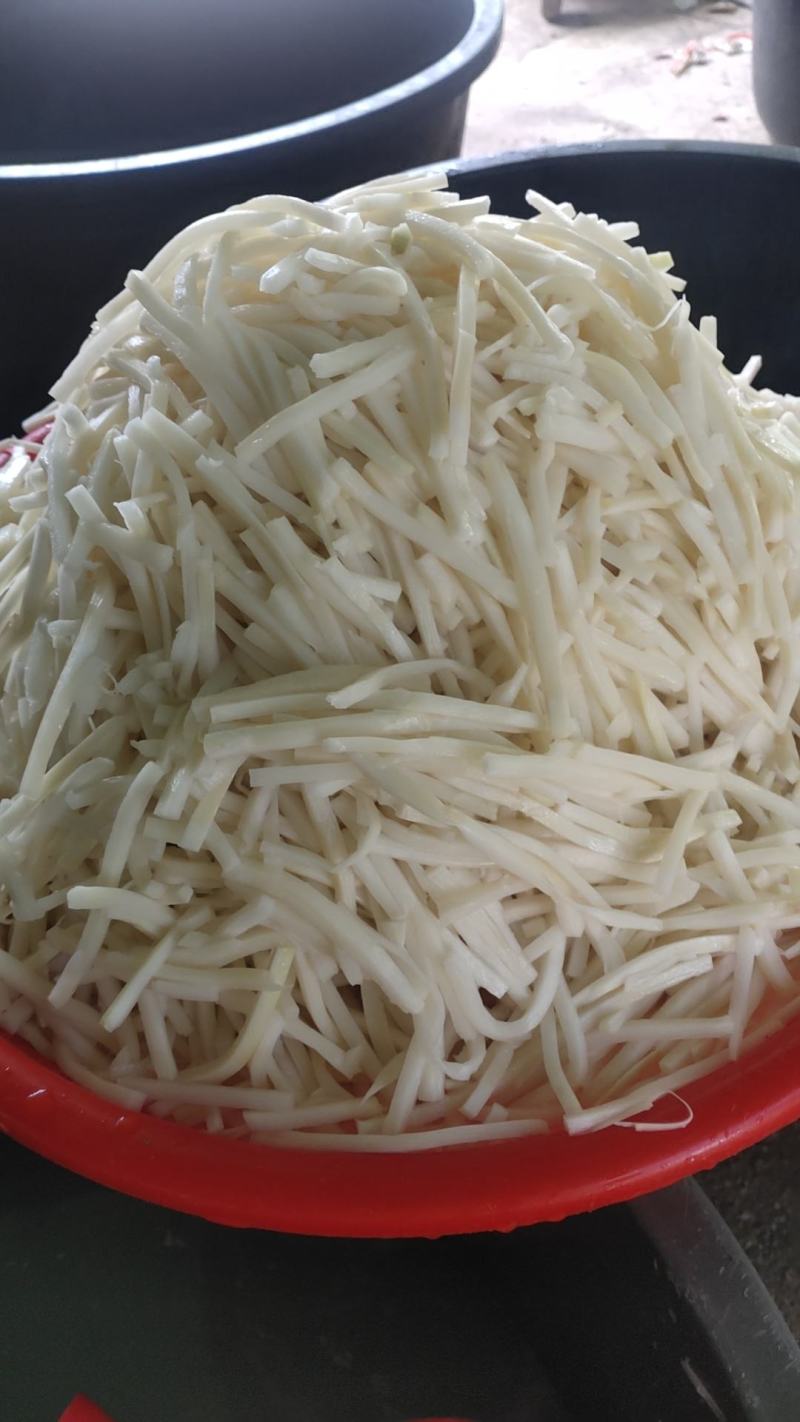 精选中节笋丝