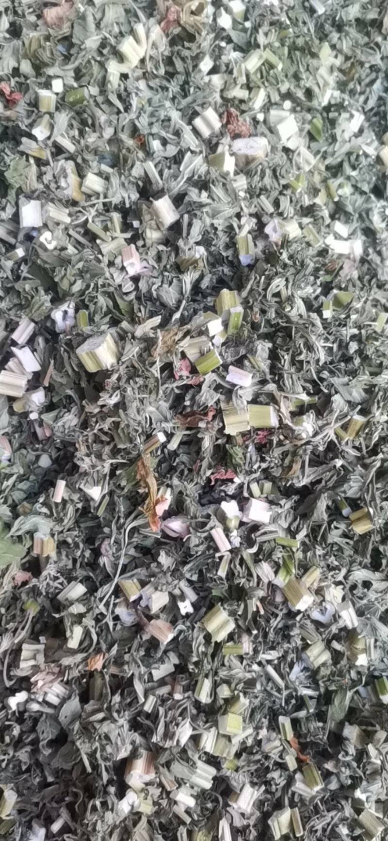益母草，血母草，益母蒿，益母艾，坤草，非人工种植