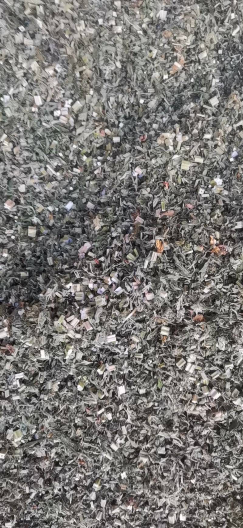 益母草，血母草，益母蒿，益母艾，坤草，非人工种植
