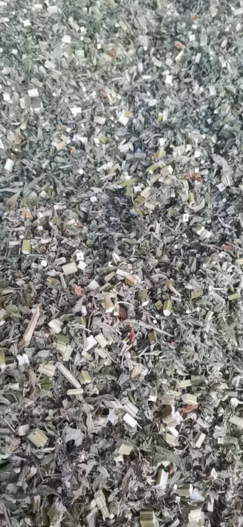 益母草，血母草，益母蒿，益母艾，坤草，非人工种植