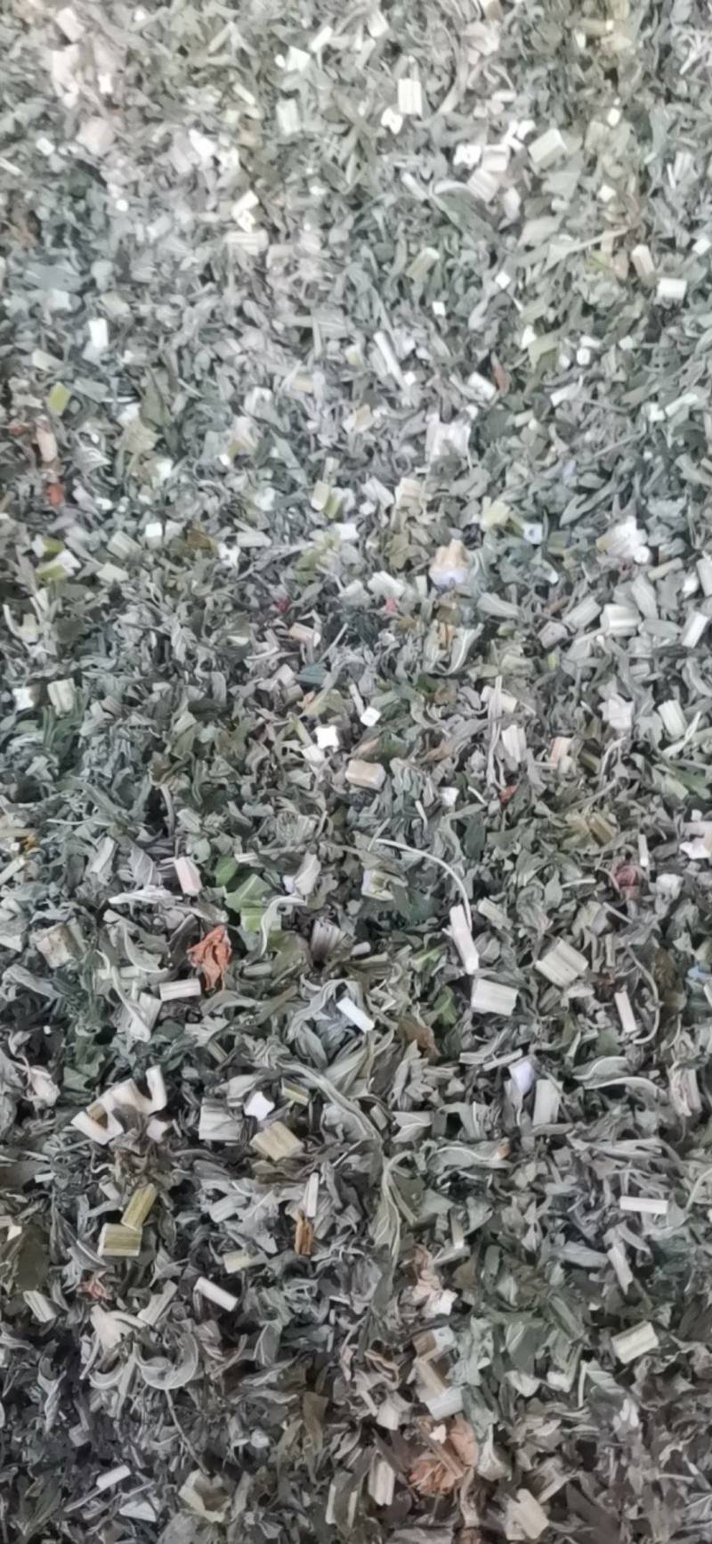 益母草，血母草，益母蒿，益母艾，坤草，非人工种植