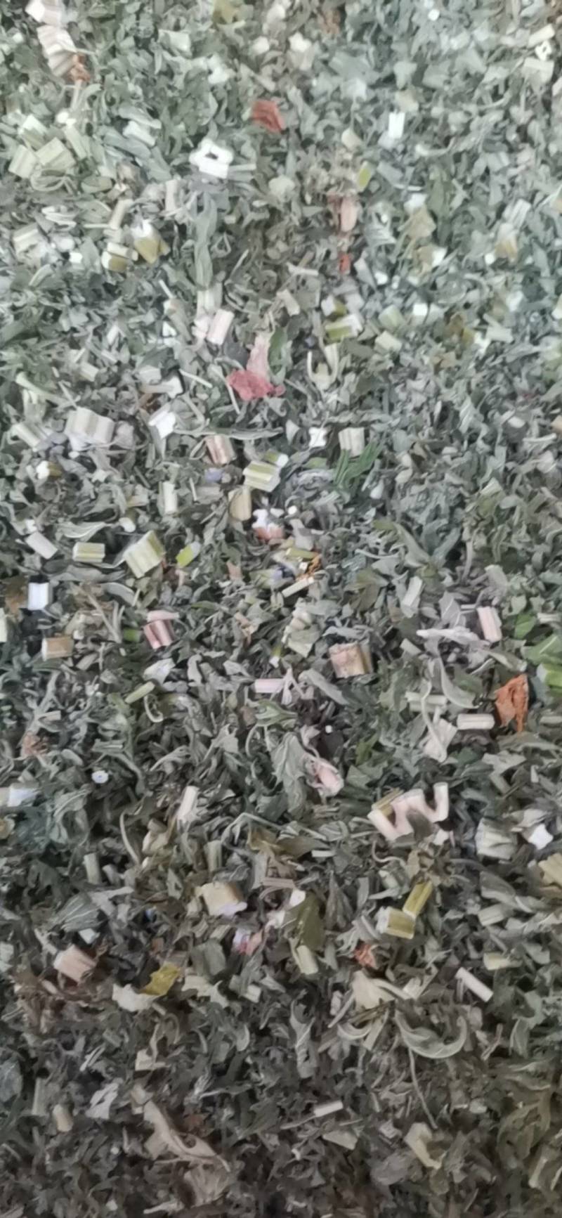 益母草，血母草，益母蒿，益母艾，坤草，非人工种植