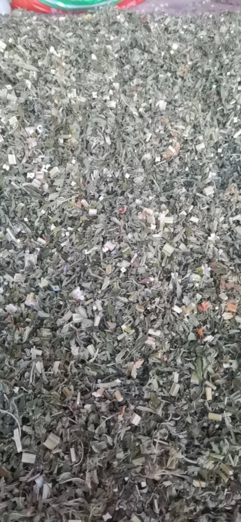 益母草，血母草，益母蒿，益母艾，坤草，非人工种植