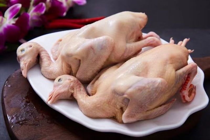 精品乳鸽肉生鲜预包装冻品乳鸽全国发货可对接商超欢迎咨询