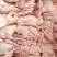 精品乳鸽肉生鲜预包装冻品乳鸽全国发货可对接商超欢迎咨询