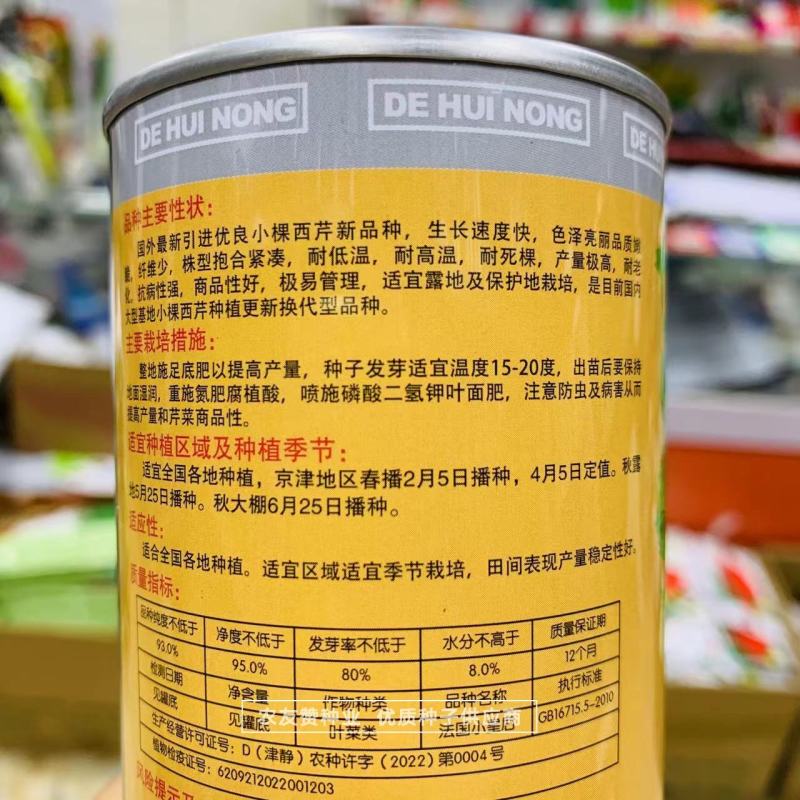 法国小皇后芹菜种子小棵西芹新品种耐老耐高温低温小香芹种子