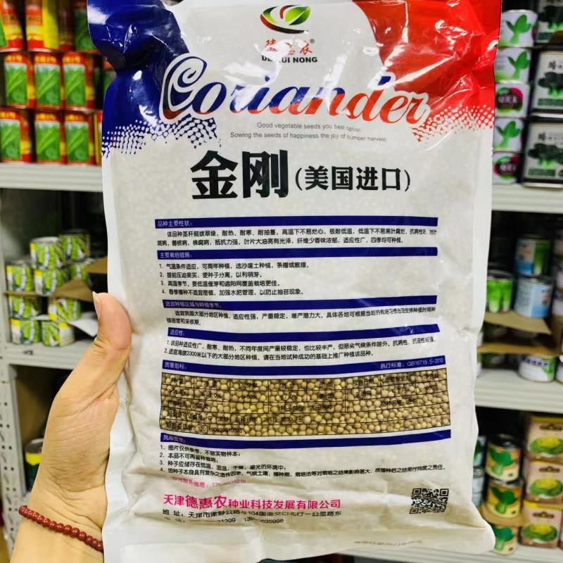 金刚美国进口香菜种子铁杆大叶香菜种子芫荽籽种四季蔬菜耐热