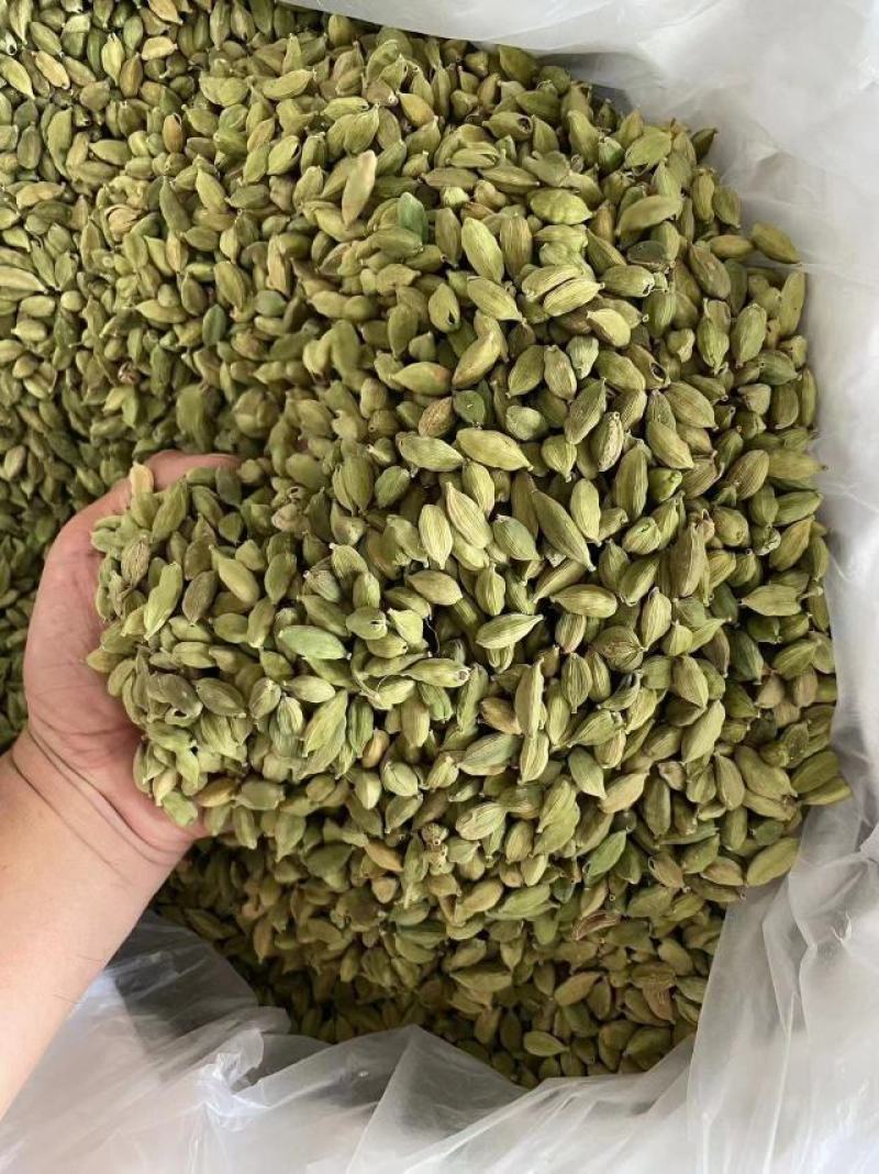 绿豆蔻，小豆蔻，印度进口香料，个头大，新货颜色绿。