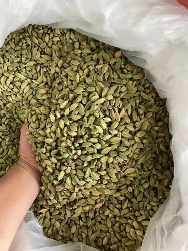 绿豆蔻，小豆蔻，印度进口香料，个头大，新货颜色绿。