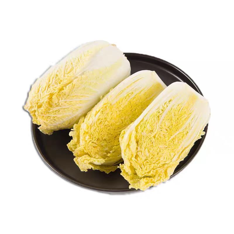春秋两用小颗白菜种子一代杂交甜脆黄芯娃娃菜种子基地专用