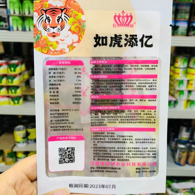 春秋两用小颗白菜种子一代杂交甜脆黄芯娃娃菜种子基地专用