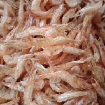 麦穗鱼，烤河虾