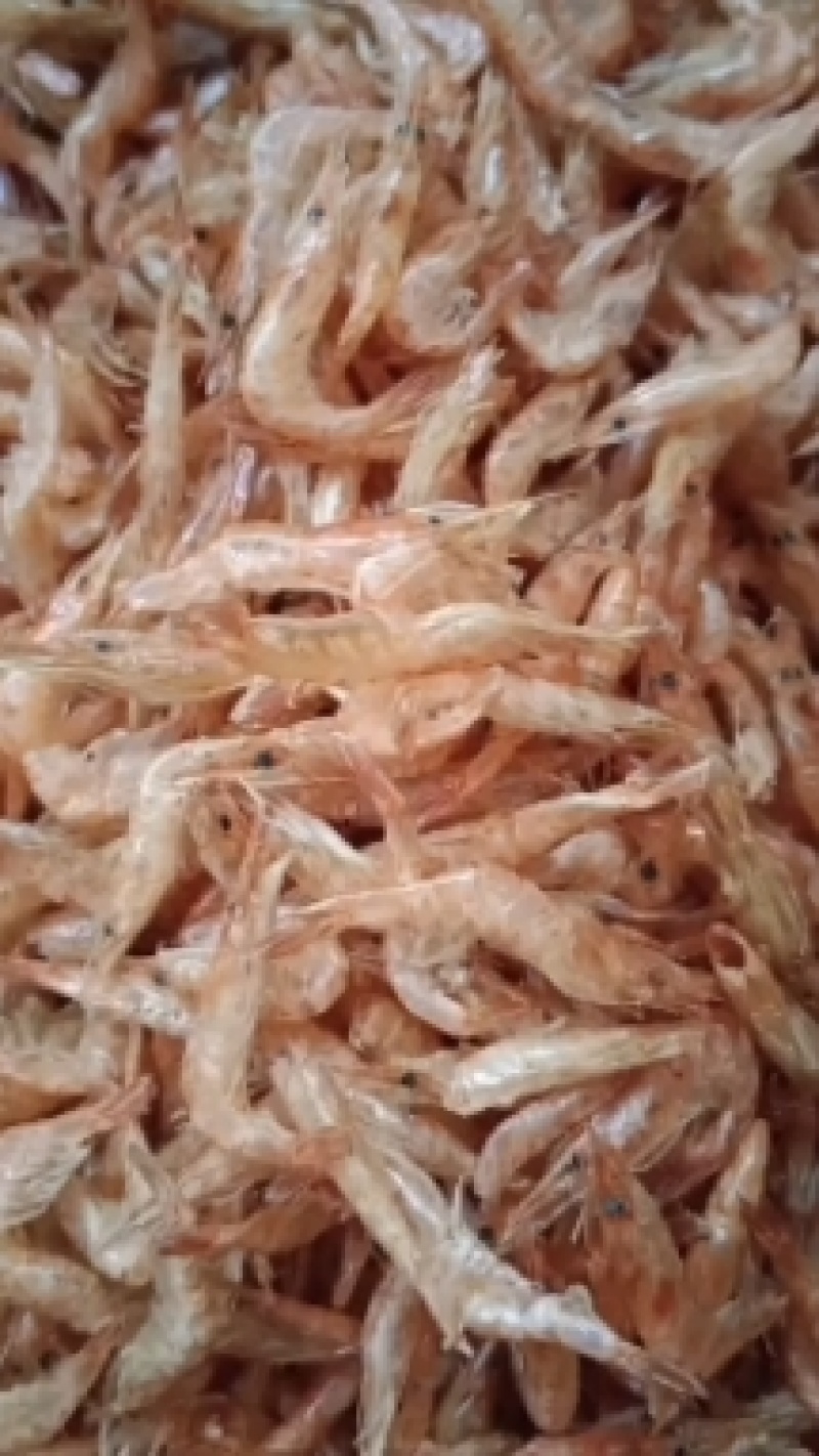 麦穗鱼，烤河虾