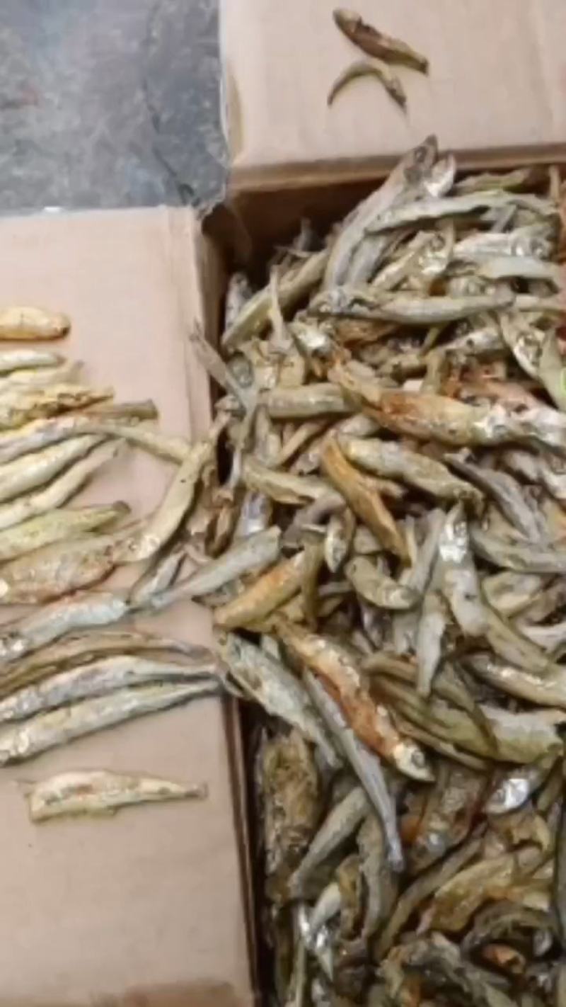 麦穗鱼，烤河虾