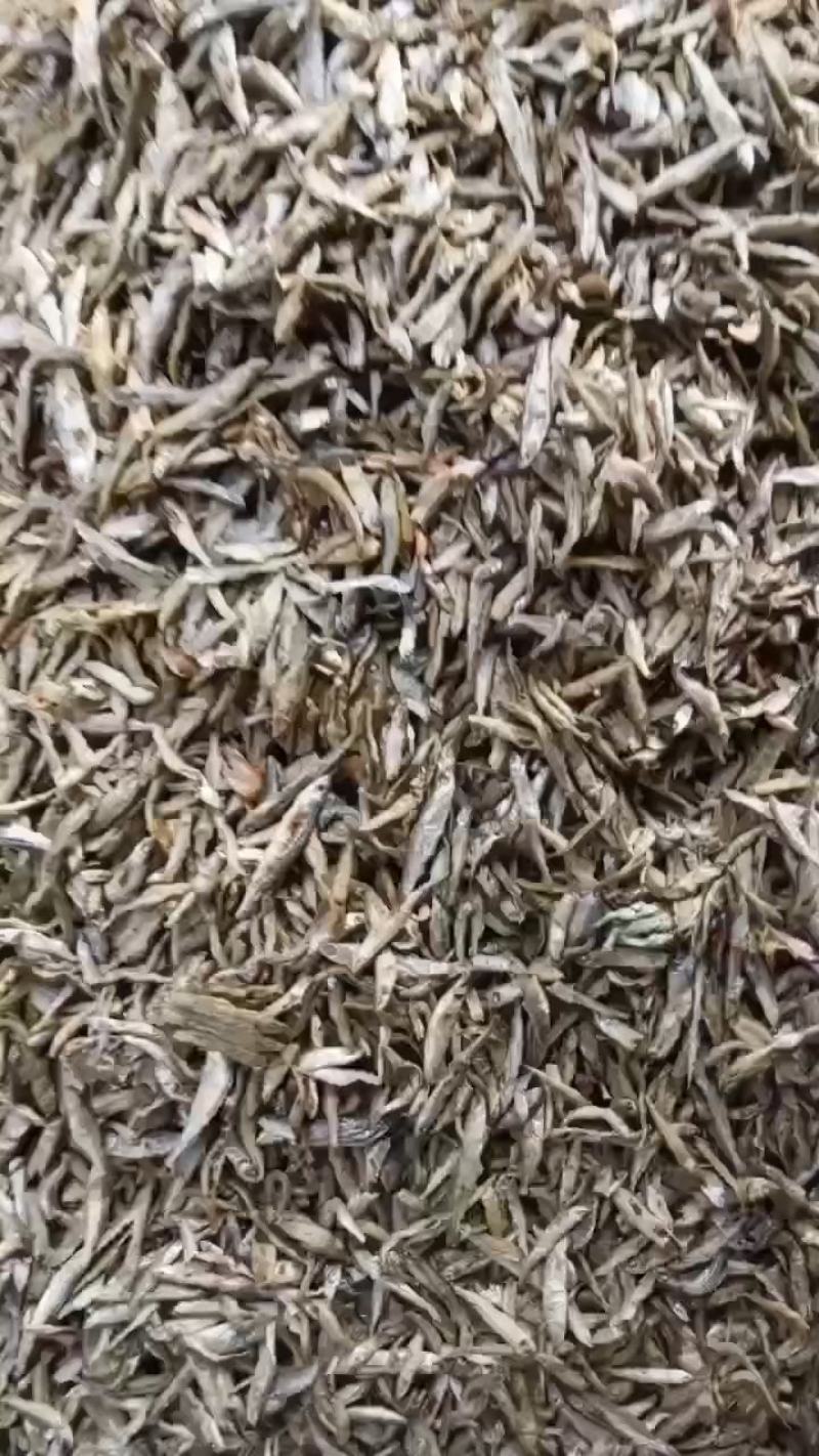 麦穗鱼，烤河虾
