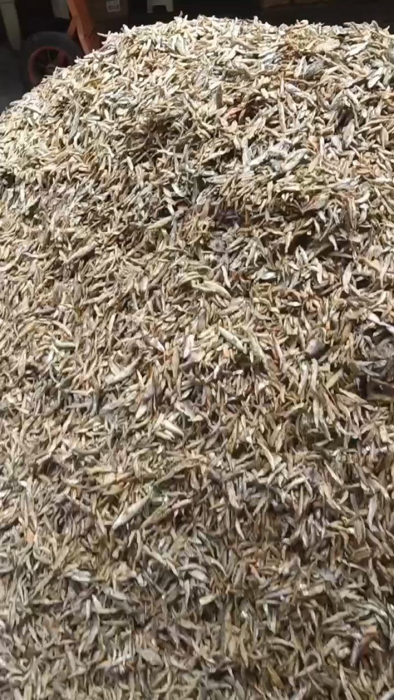 麦穗鱼，烤河虾