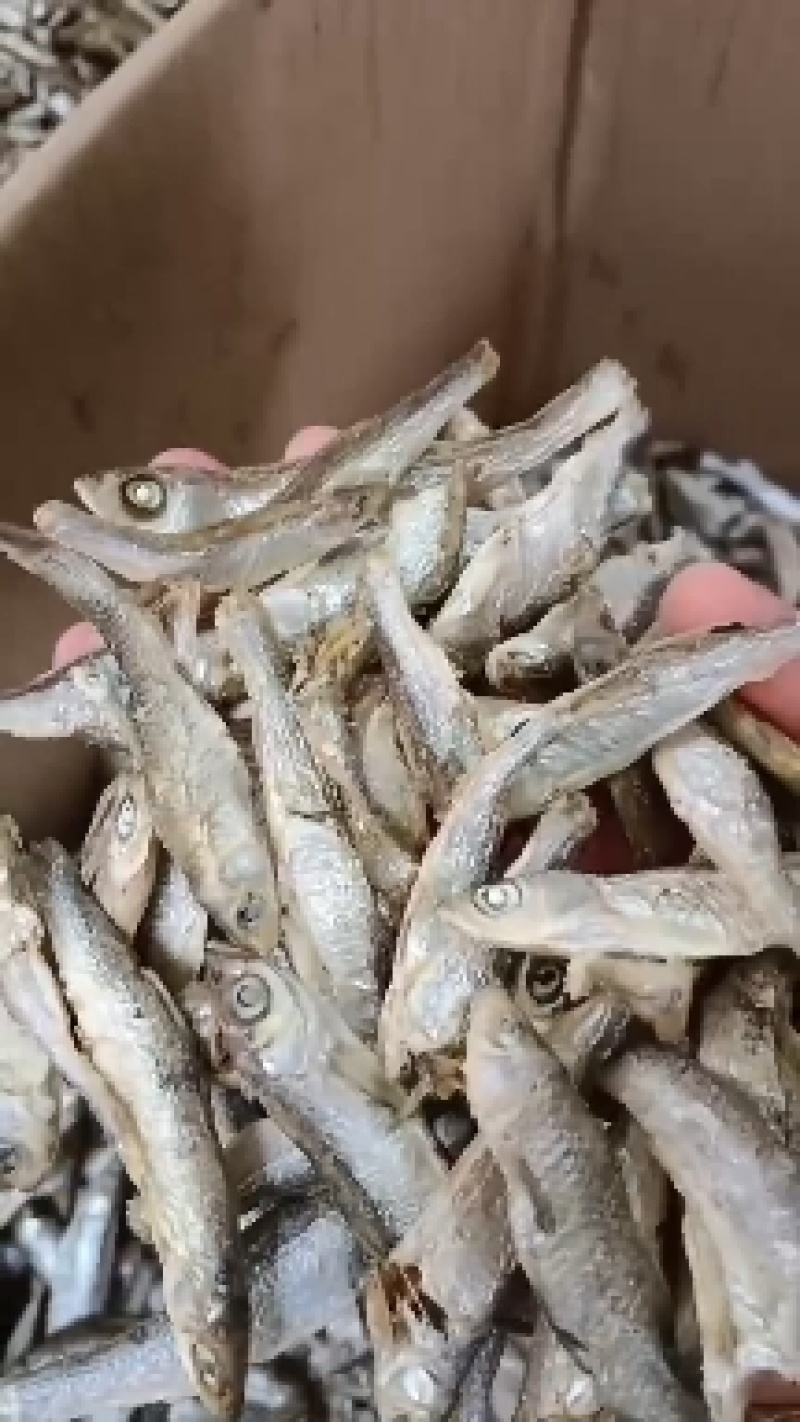 麦穗鱼，烤河虾