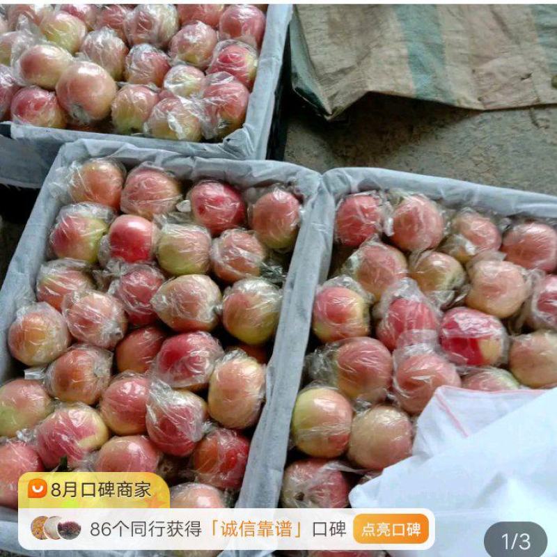 嗄啦苹果上市