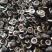 川渝枳壳枳壳无硫无煤干货对半干货包含量