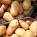 精品黄心土豆大量供应，可对接市场、电商等渠道，全国供应！