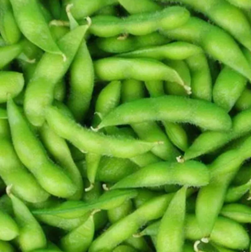 『牛商推荐』精品冷冻蔬菜冻毛豆、青刀豆大量供应，全国发货