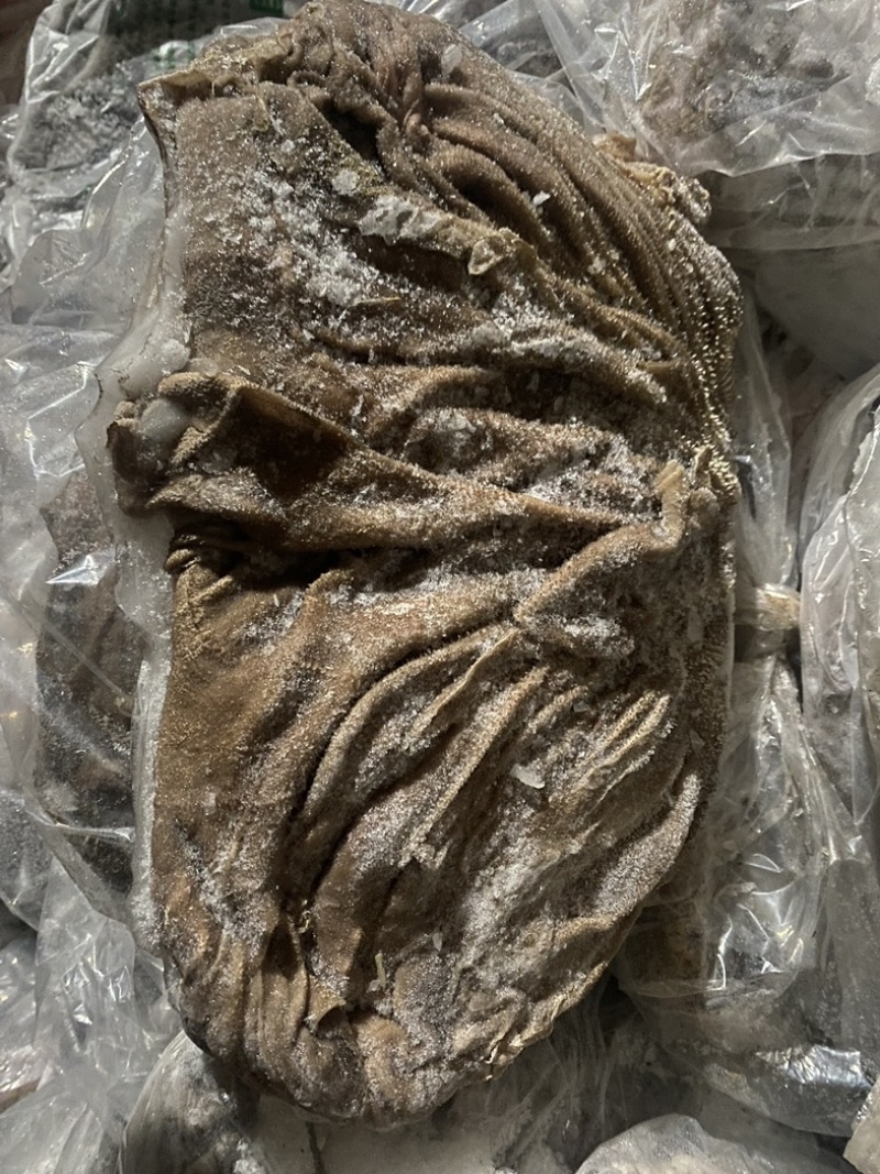 冻鲜百叶去油精修