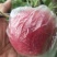 鲁丽，7月中旬成熟，颜色特好，果型端正，口感香脆甜。