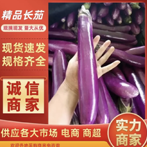 《优选》紫长茄新鲜上市，河南产地大量出货，地头价品质好