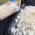 燕窝燕窝碎燕盏大颗粒质量货燕窝孕妇滋补品