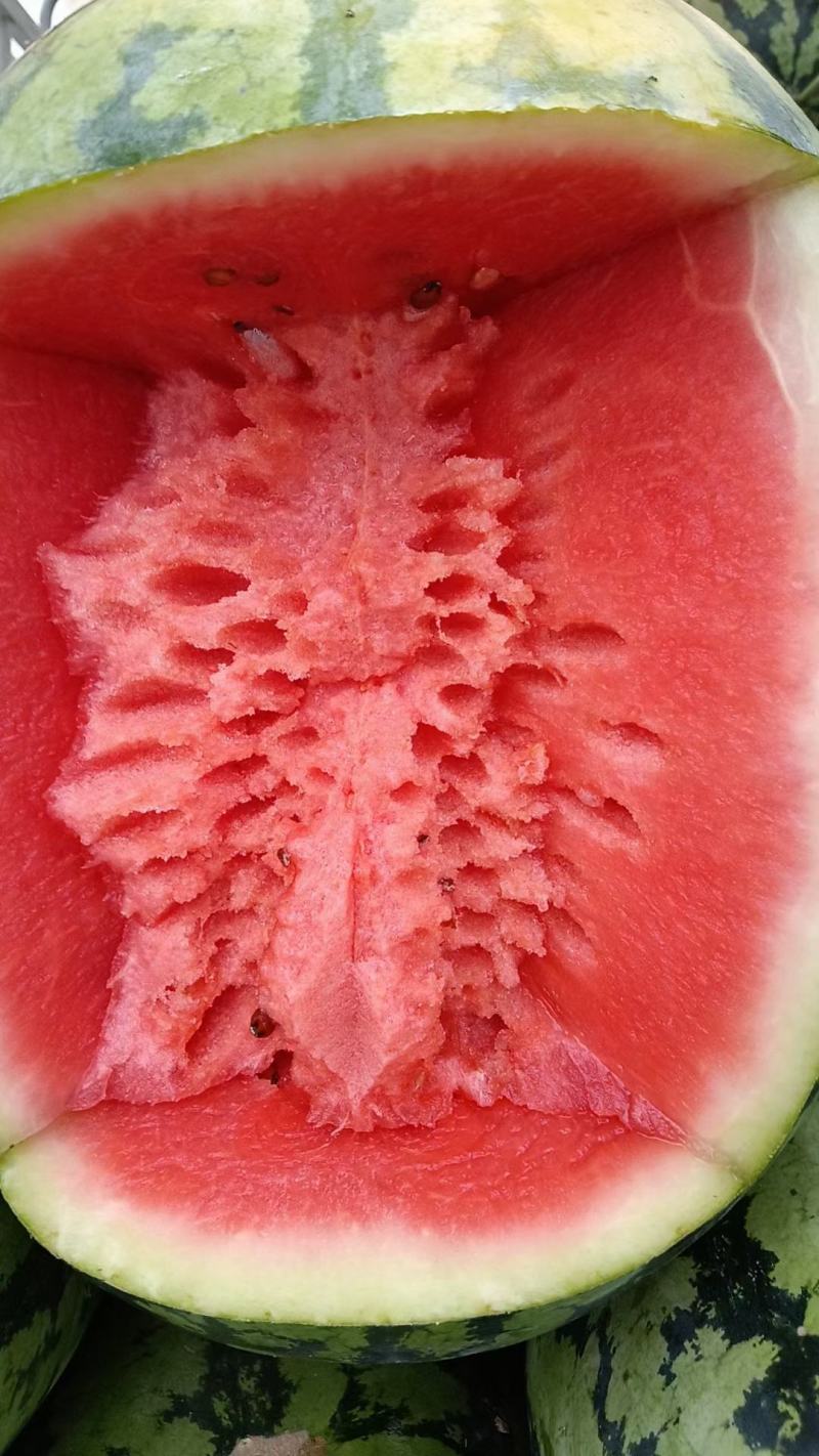 精品花无籽西瓜大量上市，价格便宜，质量保证