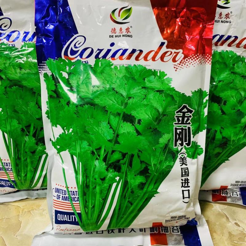 金刚香菜种子美国进口铁杆大叶香菜种子芫荽种子四季速生菜籽
