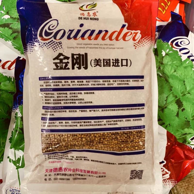 金刚香菜种子美国进口铁杆大叶香菜种子芫荽种子四季速生菜籽