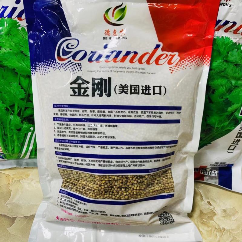 金刚香菜种子美国进口铁杆大叶香菜种子芫荽种子四季速生菜籽