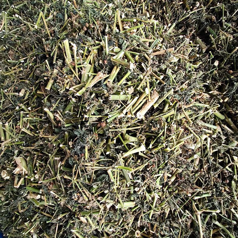 新货龙葵草中药材中草药原料批发