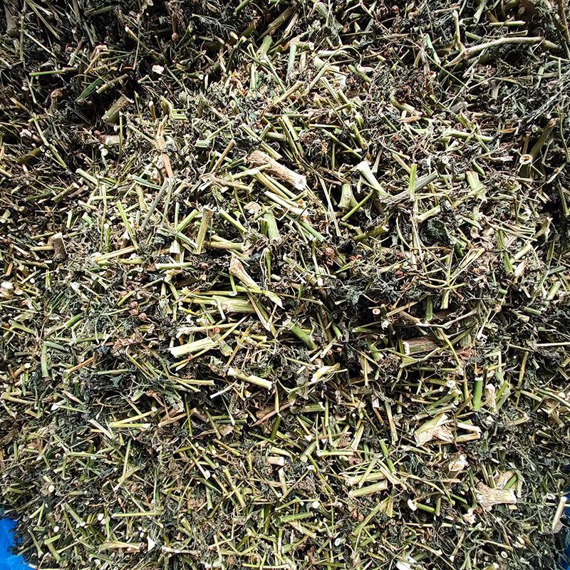 新货龙葵草中药材中草药原料批发