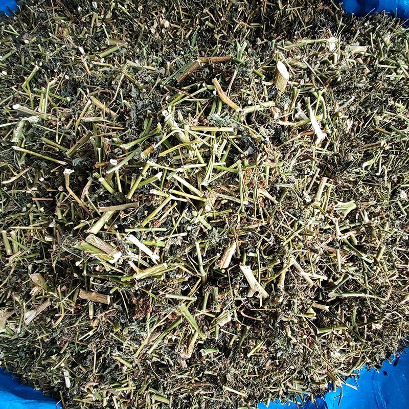 新货龙葵草中药材中草药原料批发