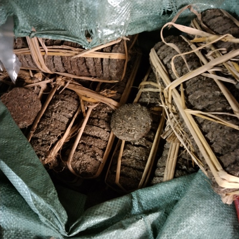 白茶饼中药材煲茶饮