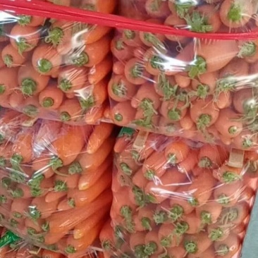 胡萝卜
