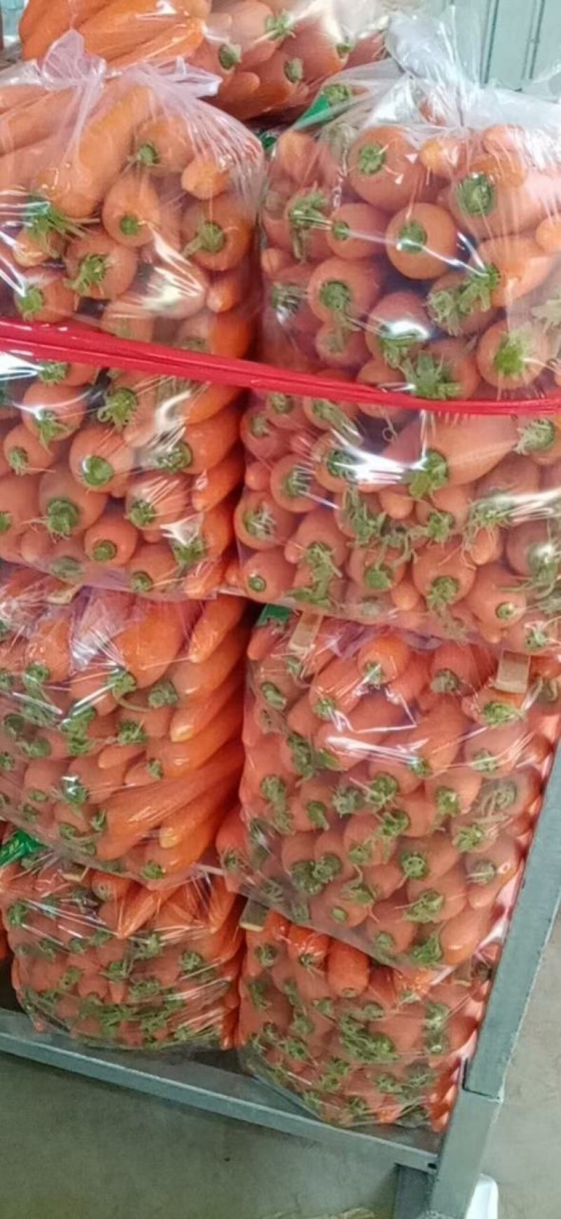 胡萝卜
