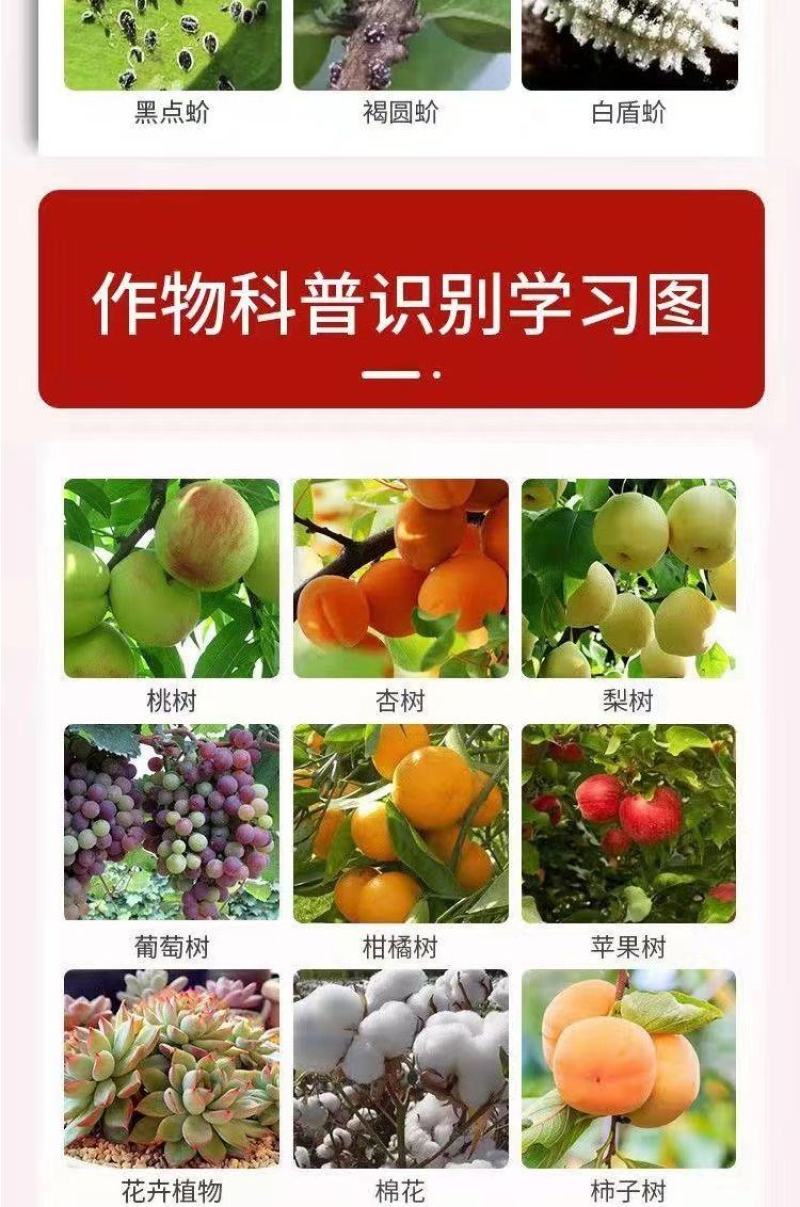 高氯吡丙醚杀虫杀卵绝育剂白粉虱蓟马苍蝇蚊子蚧壳虫杀虫剂