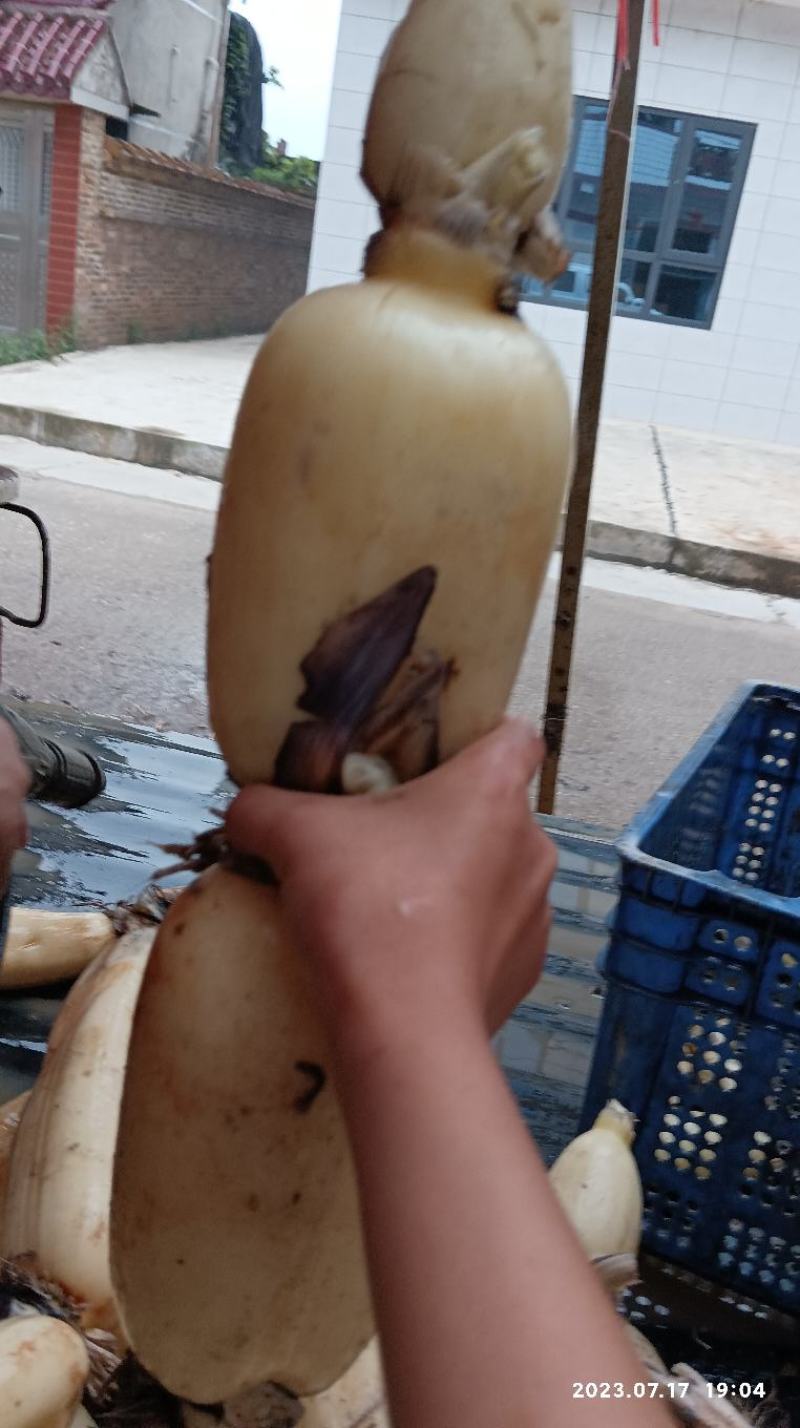 莲藕靓货