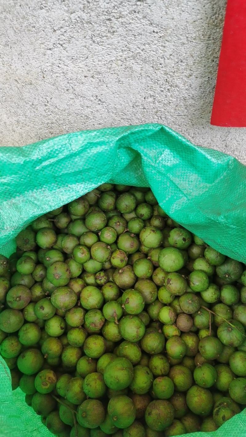 仁面果，牛面果，现摘现卖
