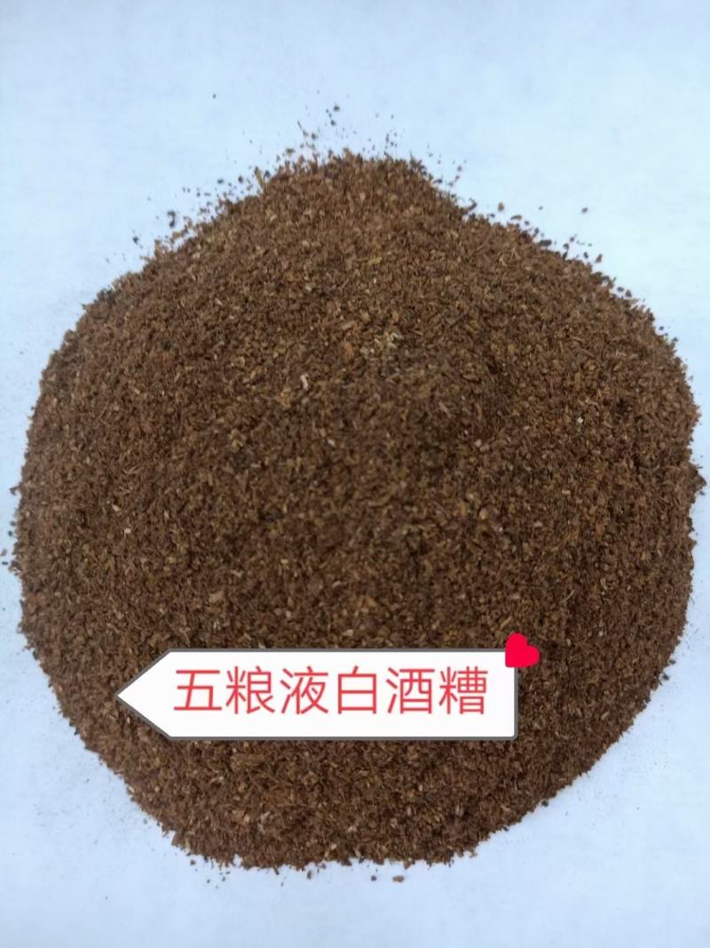 现货各种白酒糟