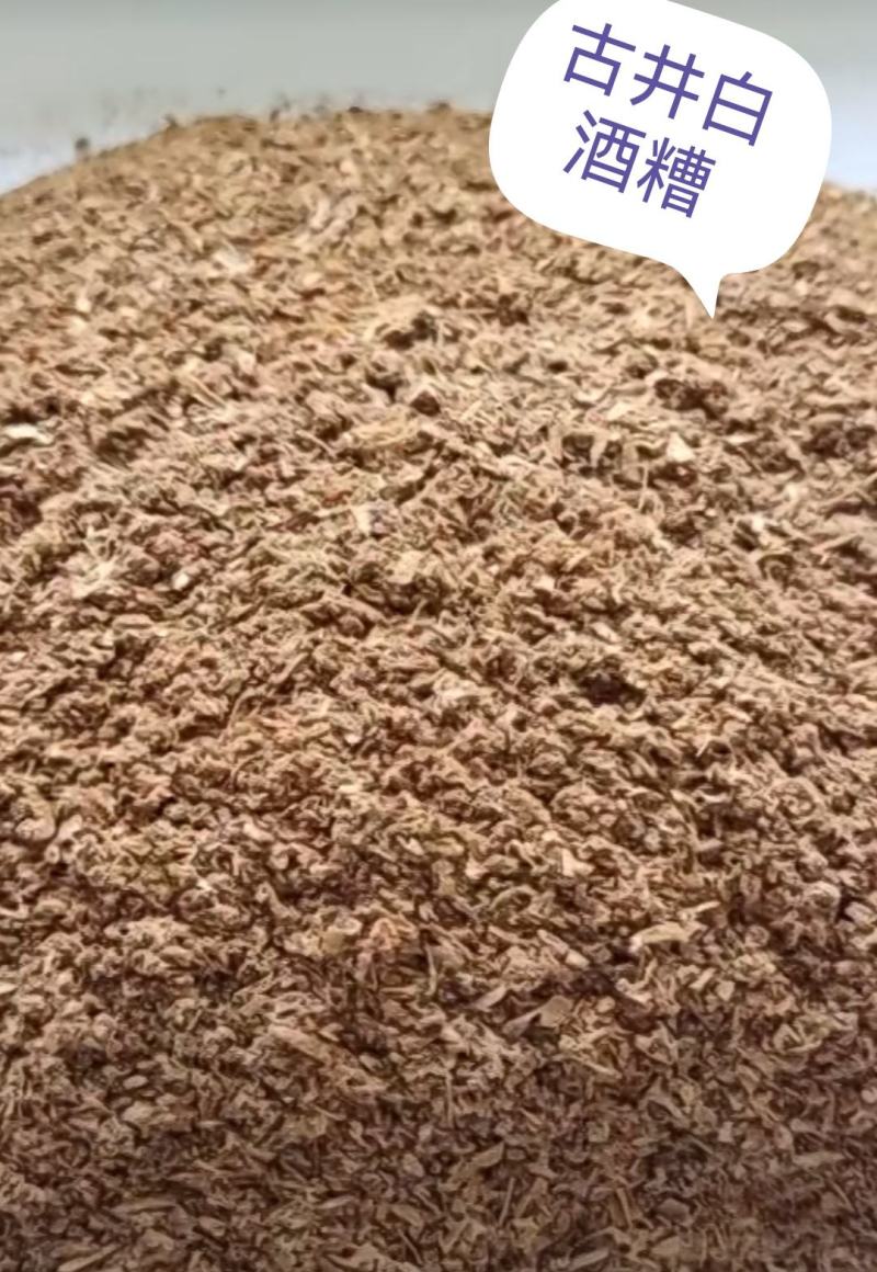 现货各种白酒糟