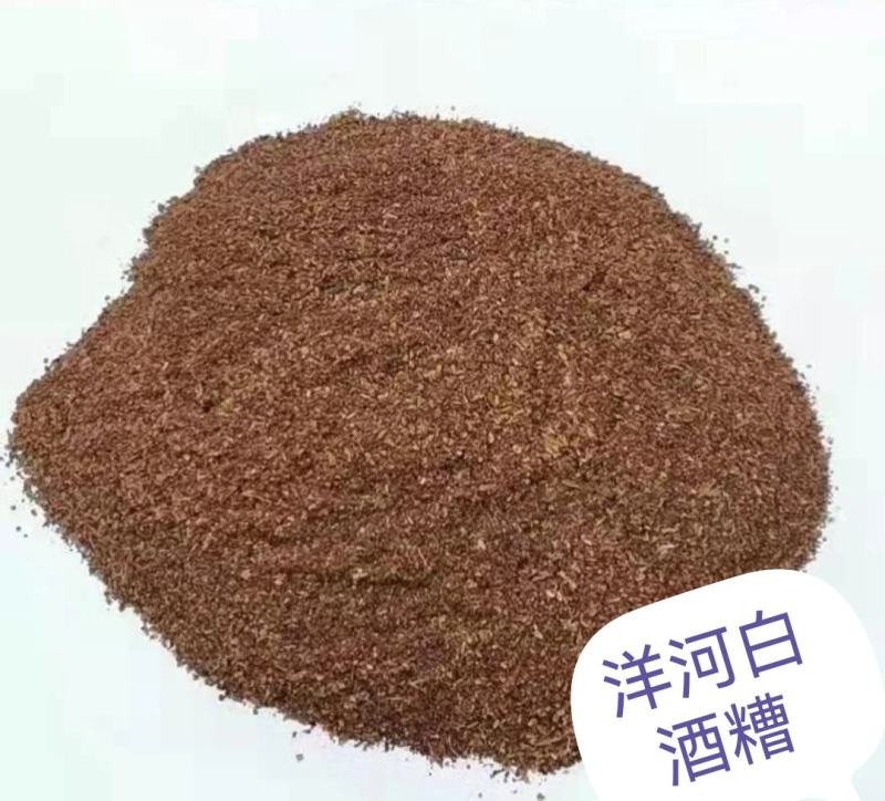 现货各种白酒糟