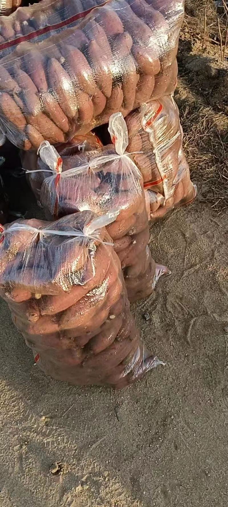 山东邹城济薯二六（济薯26）颜色鲜艳，软糯香甜，产地直发
