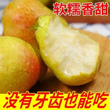 山西梨-洋梨山西洋梨诚信代办大量有货长期合作