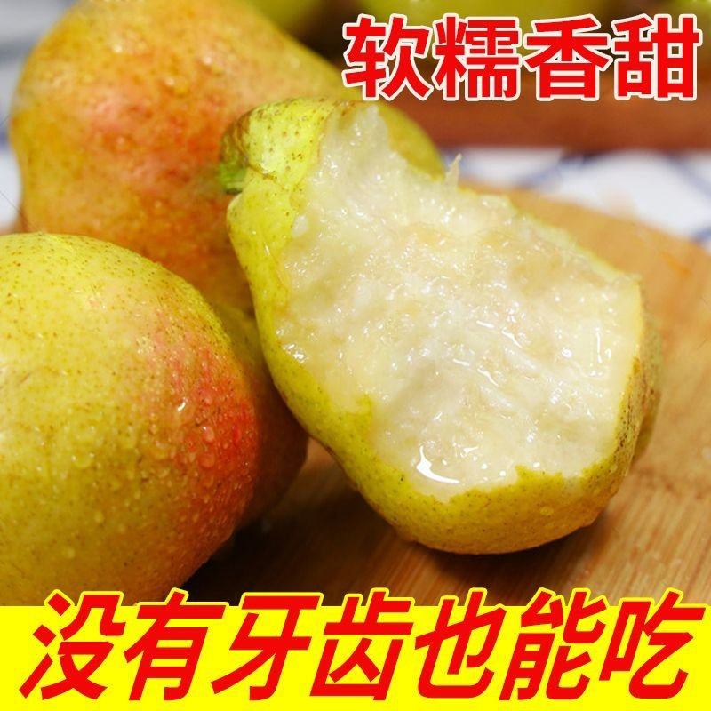 山西梨-洋梨山西洋梨诚信代办大量有货长期合作