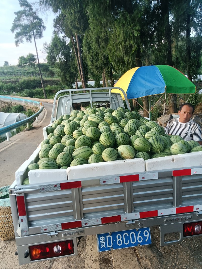 拿比特小西瓜产地直发，包熟包甜，品质保证